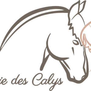 Ecurie des Calys (38470)