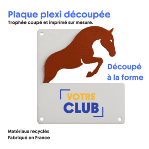 Plaque plexi découpée - RCP021
