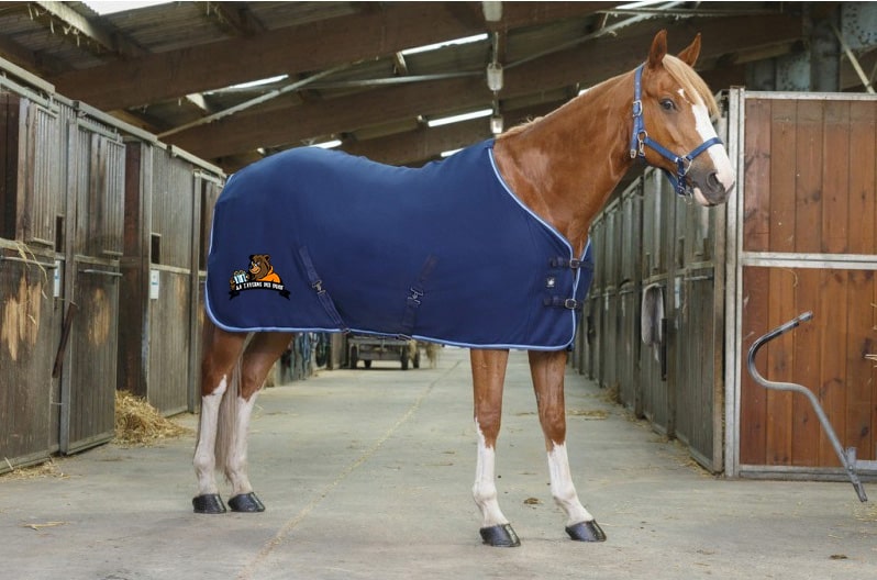 Chemise polaire Riding World (avec attaches) - Ecurie de Neuvy - Marine/Bleu Ciel - 400637