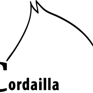 Association Team Cordailla (36100)