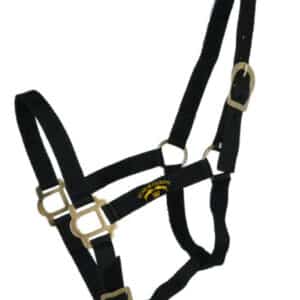 Licol + longe RIDING WORLD "Club" - Écurie de Couronne - Noir - 510118