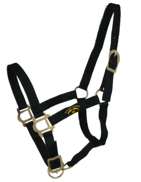 Licol + longe RIDING WORLD "Club" - Écurie de Couronne - Noir - 510118