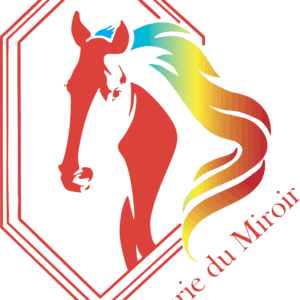 L'ECURIE DU MIROIR (76770)