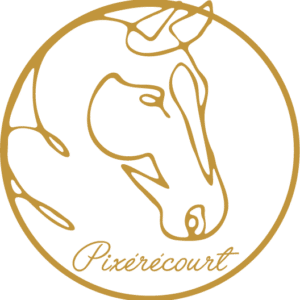 Association des cavaliers de Pixérécourt (54690)