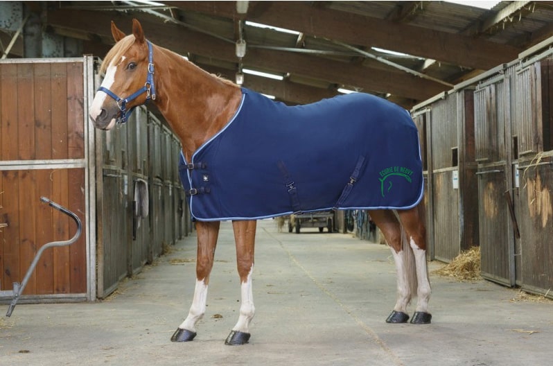 Chemise polaire Riding World (avec attaches) - Ecurie de Neuvy - Marine/Bleu Ciel - 400637 – Image 2