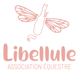 Association équestre Libellule (44390)