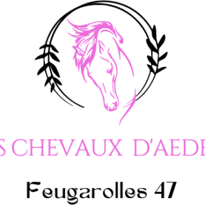 Les chevaux d'aeden (47230)