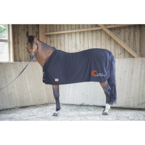 Chemise séchante Riding World maille fine - Écurie de St Germain- Navy - 400705
