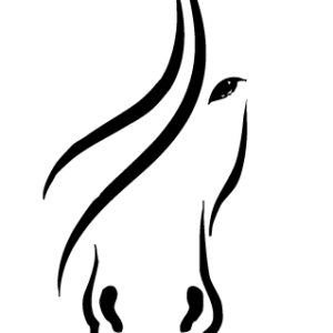 Haras des sources (77600)