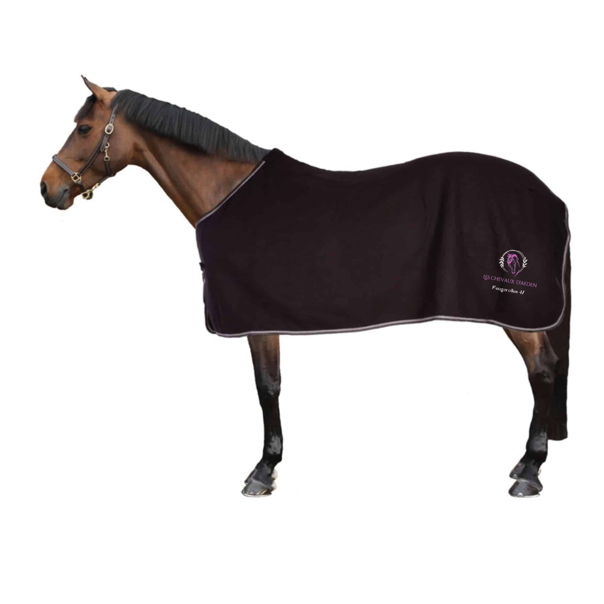 Chemise polaire Riding World (sans attaches) - Les chevaux d'aeden - Noir - 400636