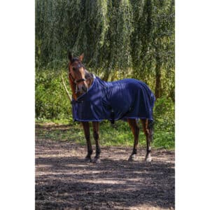 Chemise polaire Chemise de présentation Riding World - 400702