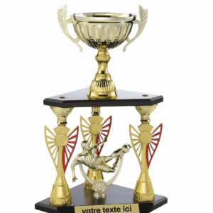 Coupe Triple Édition 2024 Football - 58/TC22