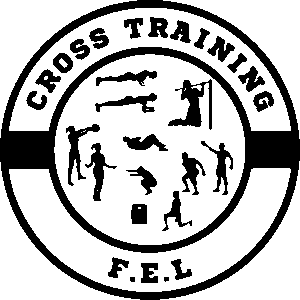 FEL Vouneuil sur Vienne (86210)