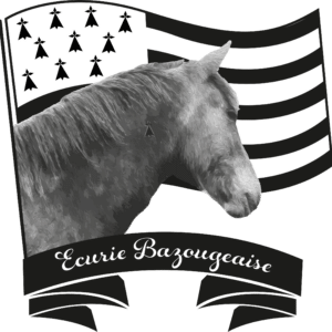 Écurie Bazougeaise (35560)
