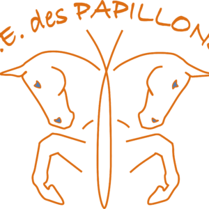 Centre Equestre Des papillons (67170)