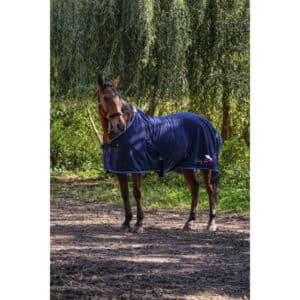 Chemise polaire Chemise de présentation Riding World - Poney club la Rebatière – Navy - 400702