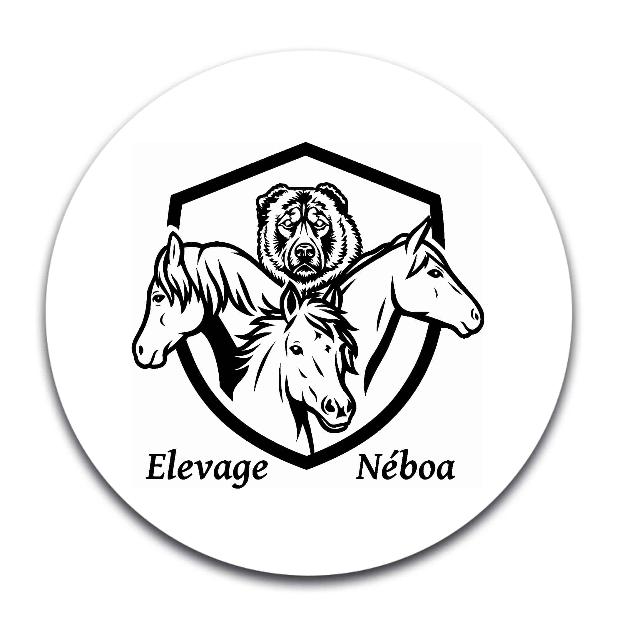 STICKER ROND - New Feet Néboa - STI001