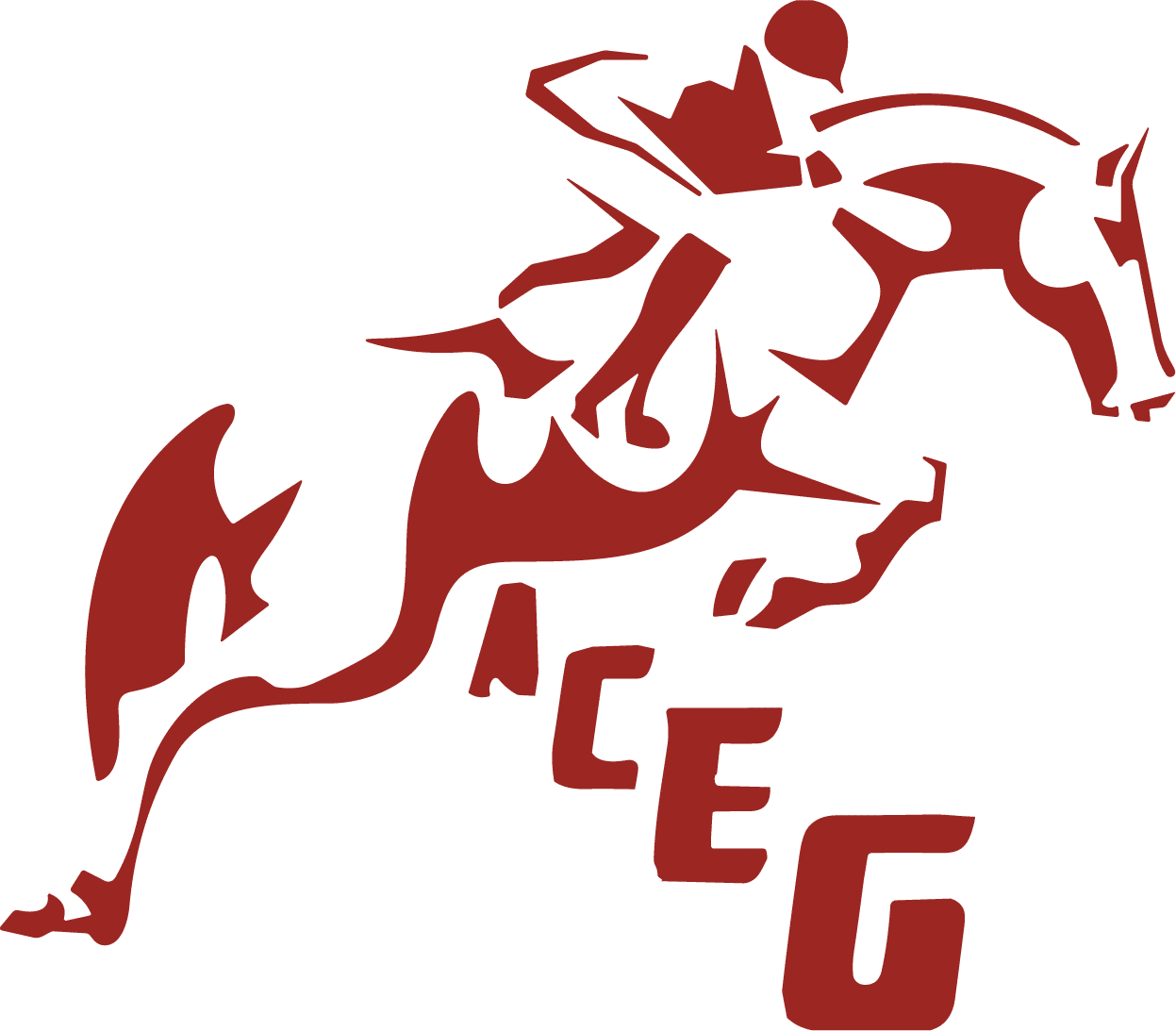 Boutique ACEG (92230) - Blagapro