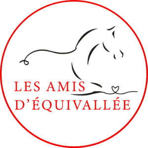 Les amis d'équivallée (71250)