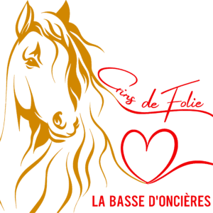 Écuries la Basse D'oncières (88700)