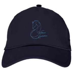 CASQUETTE - yebleron equitation - Navy - BF015