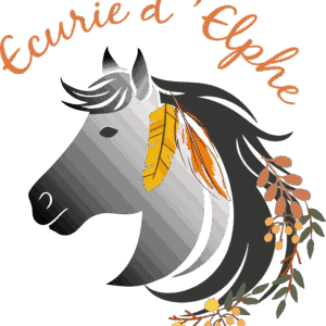 Ecurie - Elevage d'Elphe (33390)