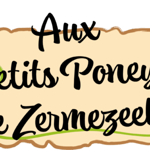 Aux petits poneys de Zermezeele (59670)