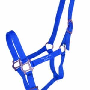 Licol + longe RIDING WORLD "Club" - Poney club de la Côte - Bleu roi - 510118