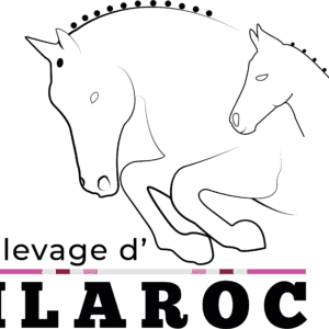 SCEA les écuries de la papote (59190)