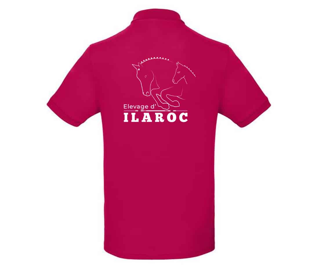 POLO (homme) - SCEA les écuries de la papote - BCID1 – Image 3