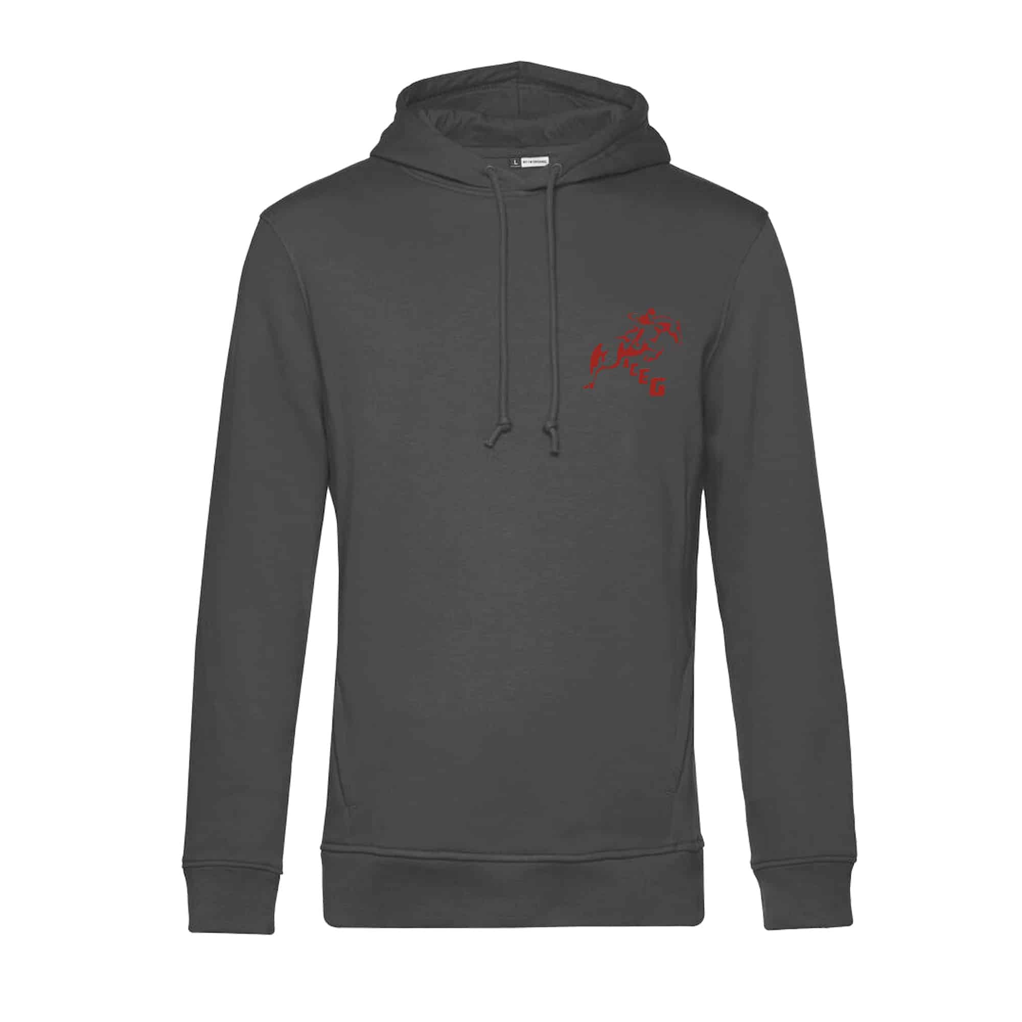 SWEAT A CAPUCHE (homme) - ACEG - Gris Anthracite - BCU33B