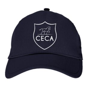 CASQUETTE - CECA - Navy - BF015