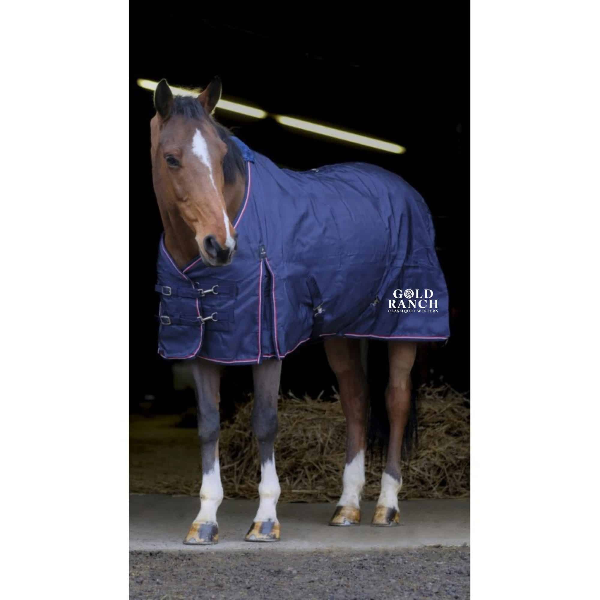 Couverture d'écurie EQUITHÈME - Gold ranch - Navy - 40079