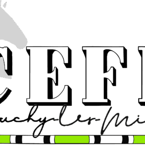 Centre equestre de la ferme des briques (62138)