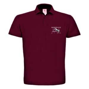 POLO premium (enfant) - centre équestre de Mondeville - Bordeaux - K249