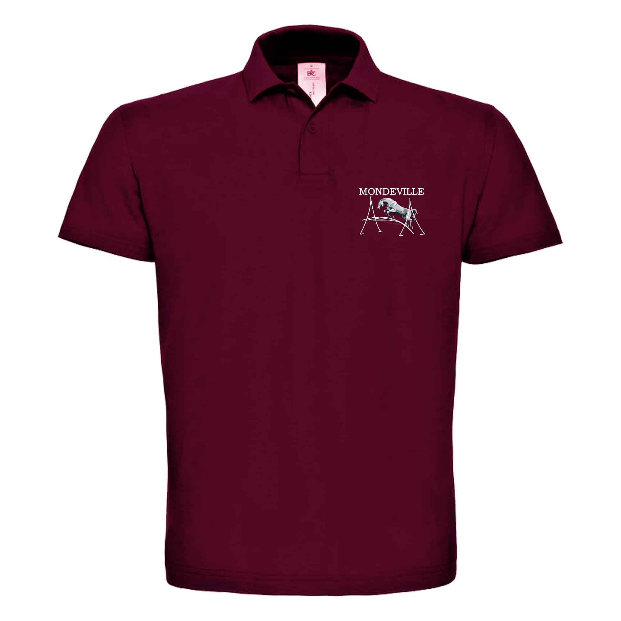 POLO premium (enfant) - centre équestre de Mondeville - Bordeaux - K249