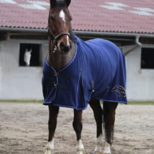 Chemise polaire EQUITHÈME Classique - Élevage de l'Astre - Navy - 400546