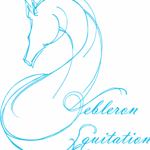 yebleron equitation (76640)
