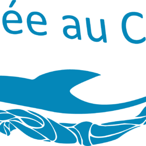 Apnée au Cube (45240)