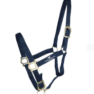 Licol + Longe Norton Large - Écurie de la Petite Vallée - Navy - 510249