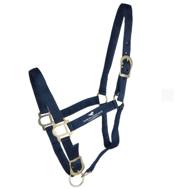 Licol + Longe Norton Large - Écurie de la Petite Vallée - Navy - 510249