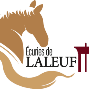 SARL Ecuries de Laleuf (36250)