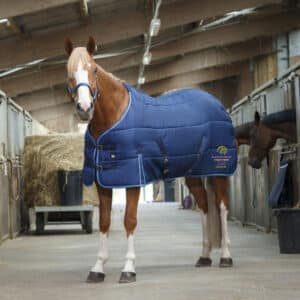 Couverture d'écurie RIDING WORLD - Scea écuries du mouret - Bleu Marine/Bleu Ciel - 400505