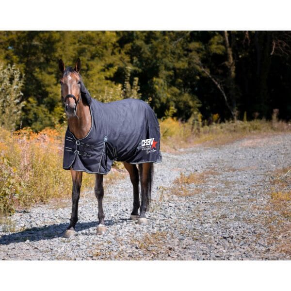 Couverture d’extérieur Riding World Oxford - CHBV – Noir - 400892