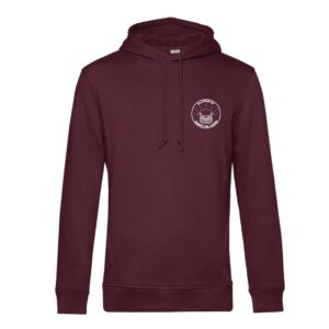 SWEAT A CAPUCHE (homme) - Ellipse 02 - Bordeaux - BCU33B
