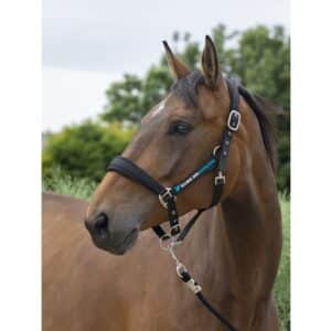 Licol + Longe Norton Large - Ecurie des Cavalous - Noir - 510249