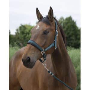 Licol + Longe Norton Large - L’Ecrin du Cheval - Vert - 510249