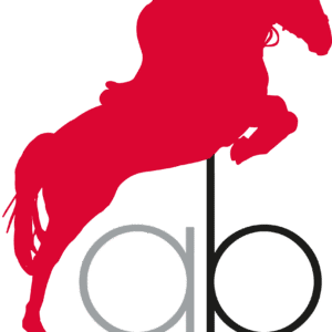 ecurie anne bouyer (17400)