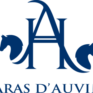 HARAS D'AUVINE (41360)