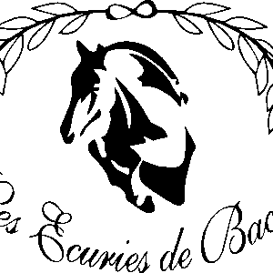 LES ECURIES DE BACYLO (83110)